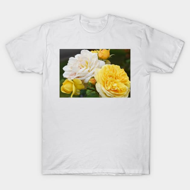 Yellow and White Roses T-Shirt by BiscuitSnack